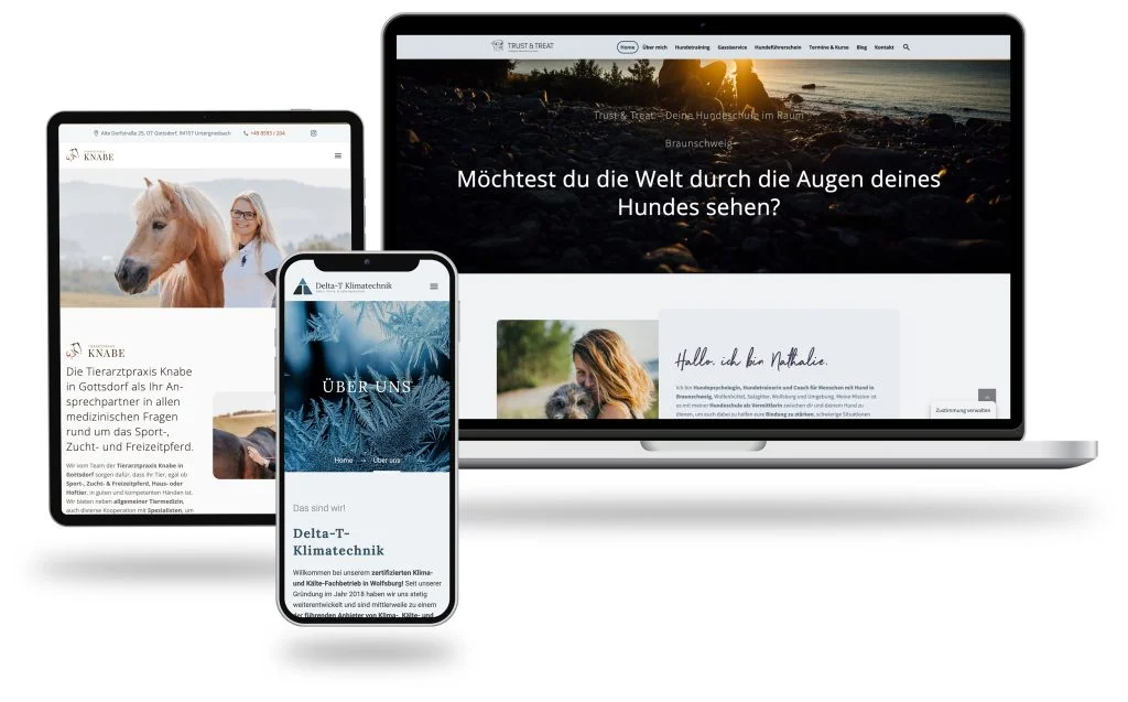 Webdesign und Webentwicklung für Braunschweig und Wolfsburg von SVÆN.IO